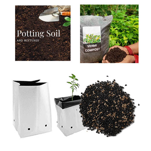 Kit with Spinach Seeds