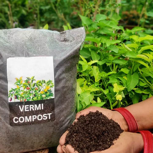 Vermicompost